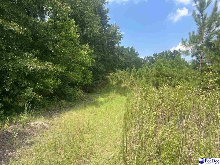 Property Photo:  1464 Oleander Dr.  SC 29540-8012 