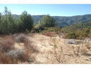 Property Photo: 0 Croy Road CA 95037