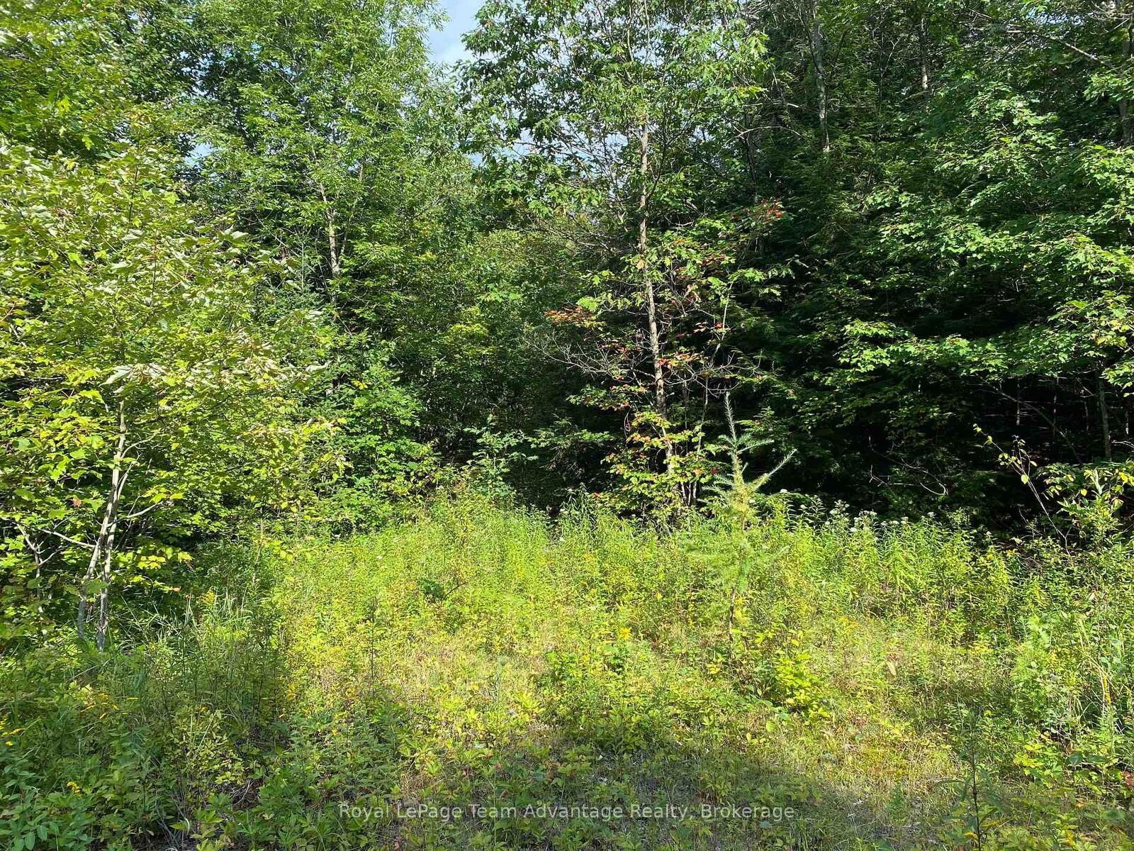 Property Photo:  Con 6 Pt Lot 28 Part 2 Road S  ON P2A 0B2 