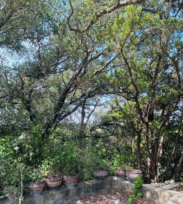 Property Photo:  10412 Double Spur Loop  TX 78759 