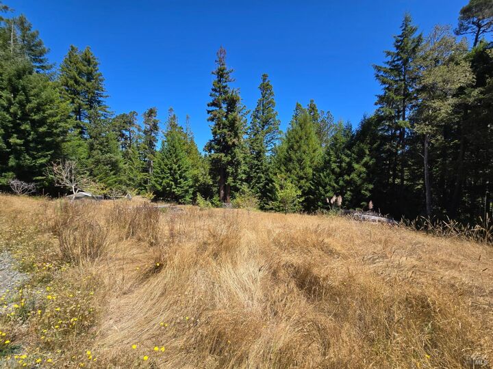 Property Photo:  40741 Garcia River Road  CA 95468 