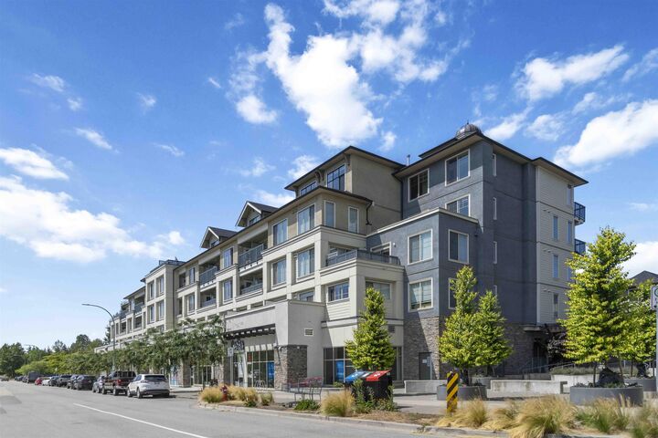 Property Photo:  20487 65 Avenue A413  BC V2Y 3K5 