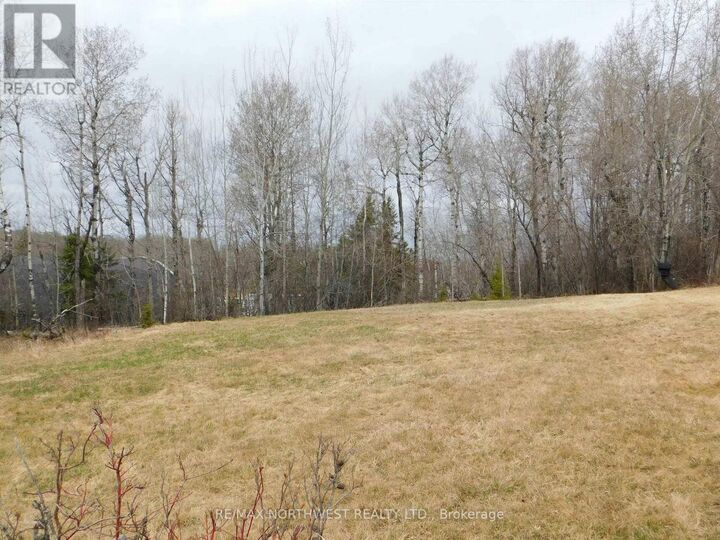 Property Photo:  113 Third Street  ON P8N 2V8 