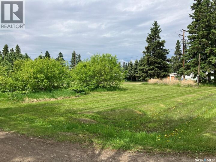 Property Photo:  339 Railway Avenue E  SK S0J 0M0 