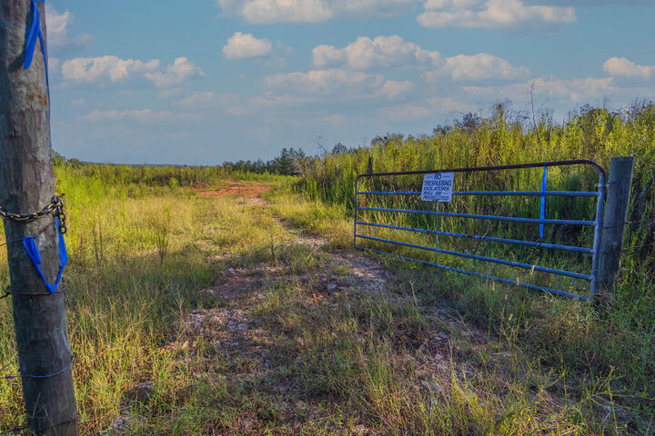 Property Photo:  Tract 1 Highway 0036  GA 31836 