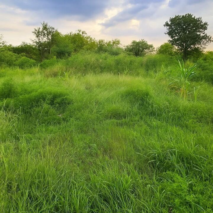 Property Photo: 4268 Sealy Road TX 77474