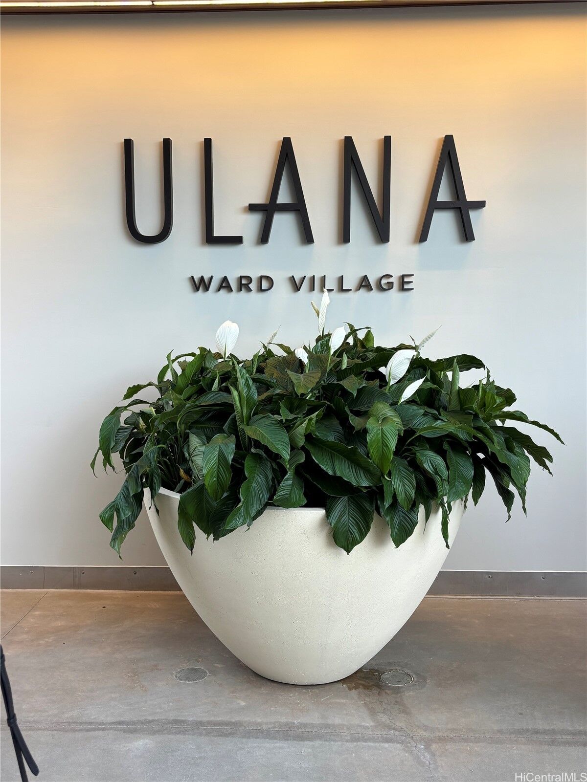 Property Photo: 828 Auahi Street 3503 HI 96813
