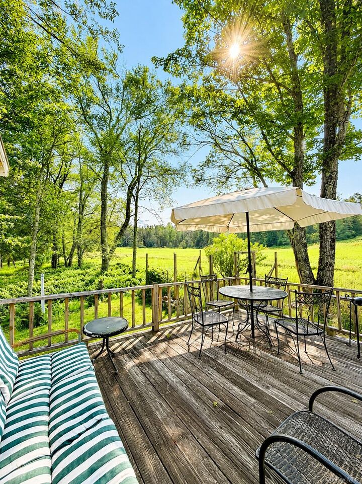 Property Photo: 00 Gold Dan Road 52 NY 12783