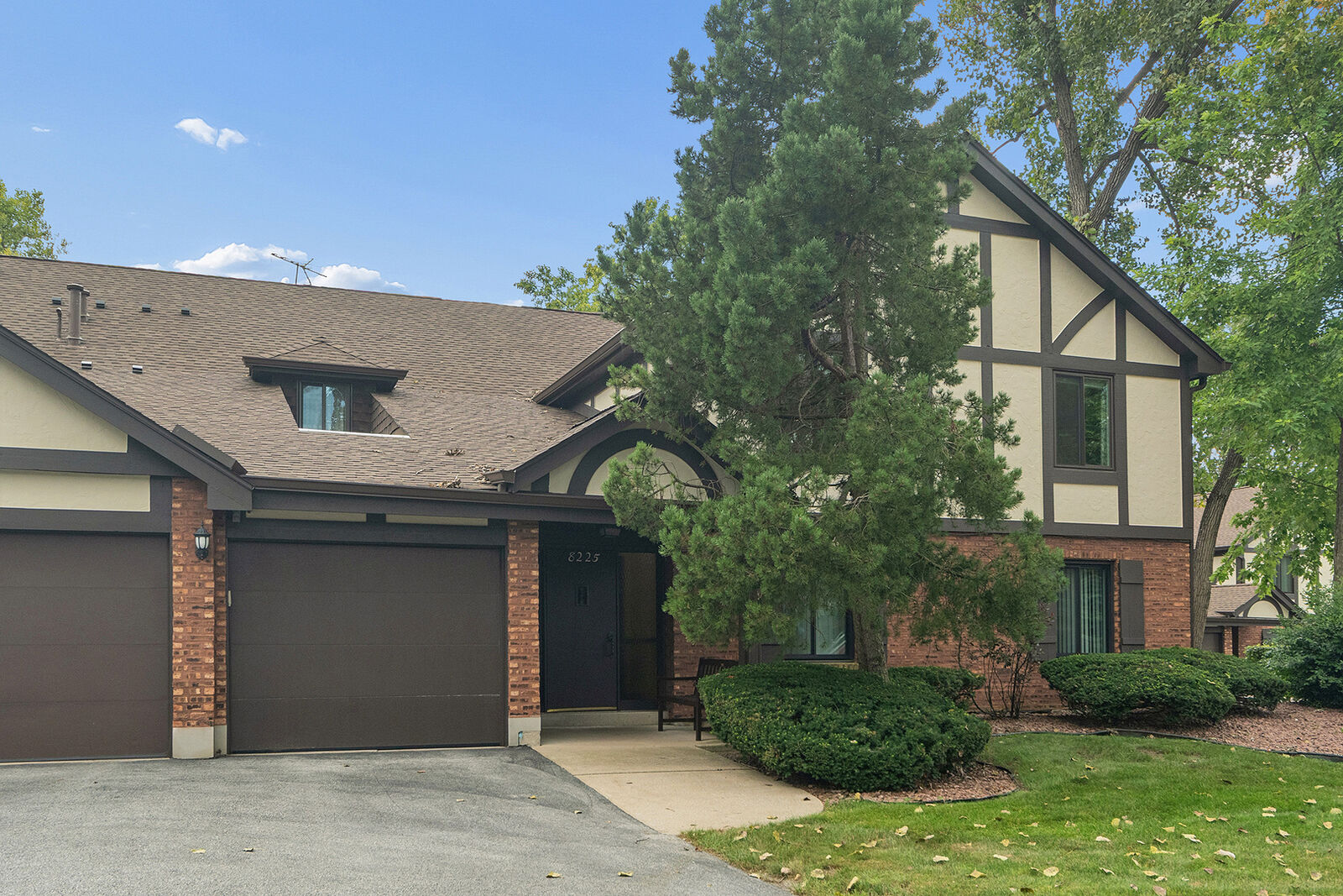 Property Photo:  8225 Juniper Court 34D  IL 60465 