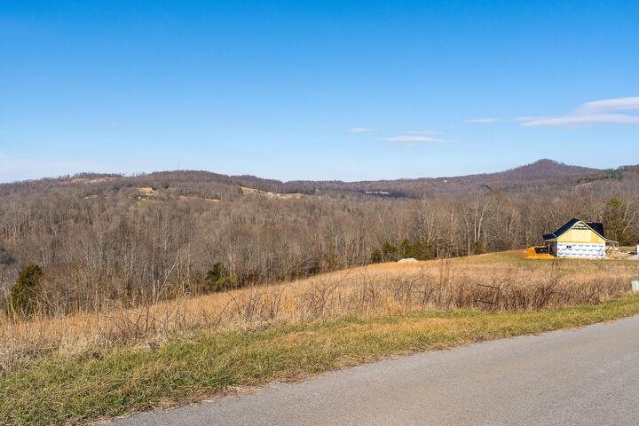 Property Photo:  0 Amonett Circle  TN 38549 