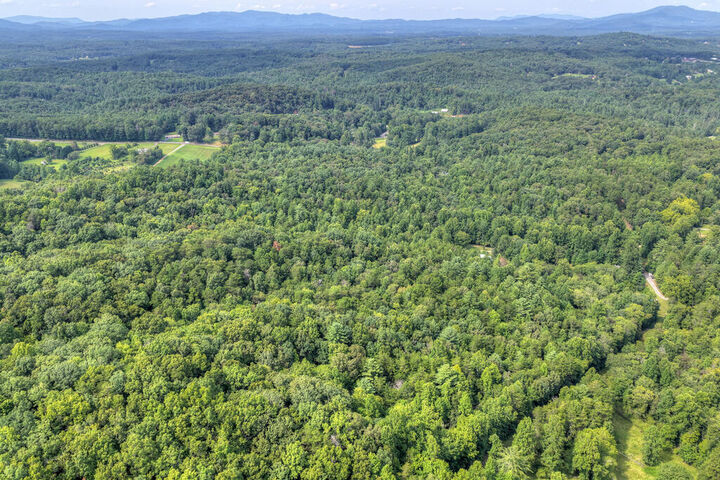 Property Photo: 4.70 Ac Chestnut Gap Lane GA 30513