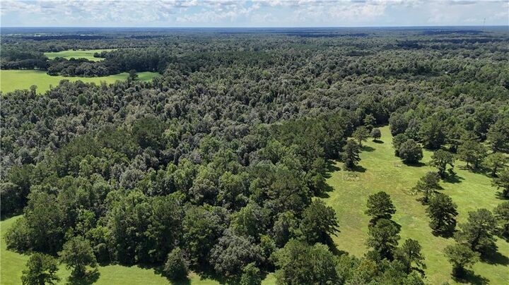 Property Photo: 21258 Wallace King Road LA 70431