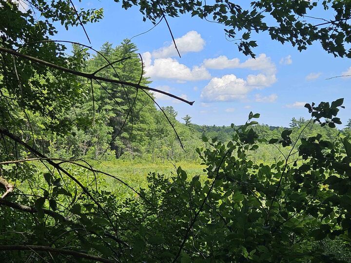 Property Photo: Map 257-Lot 32 Route 11 NH 03855