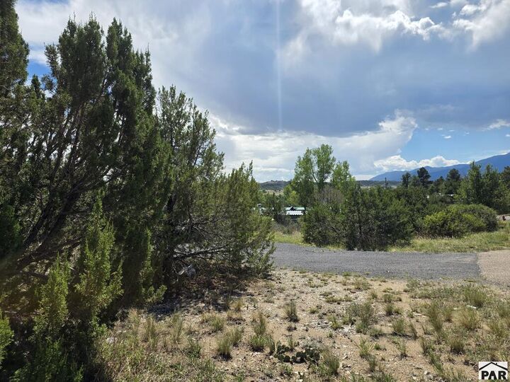 Property Photo: Lot 131 Blue Spruce Dr CO 81019
