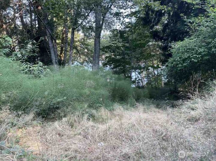 Property Photo: 108 E Beaver Lane WA 98584