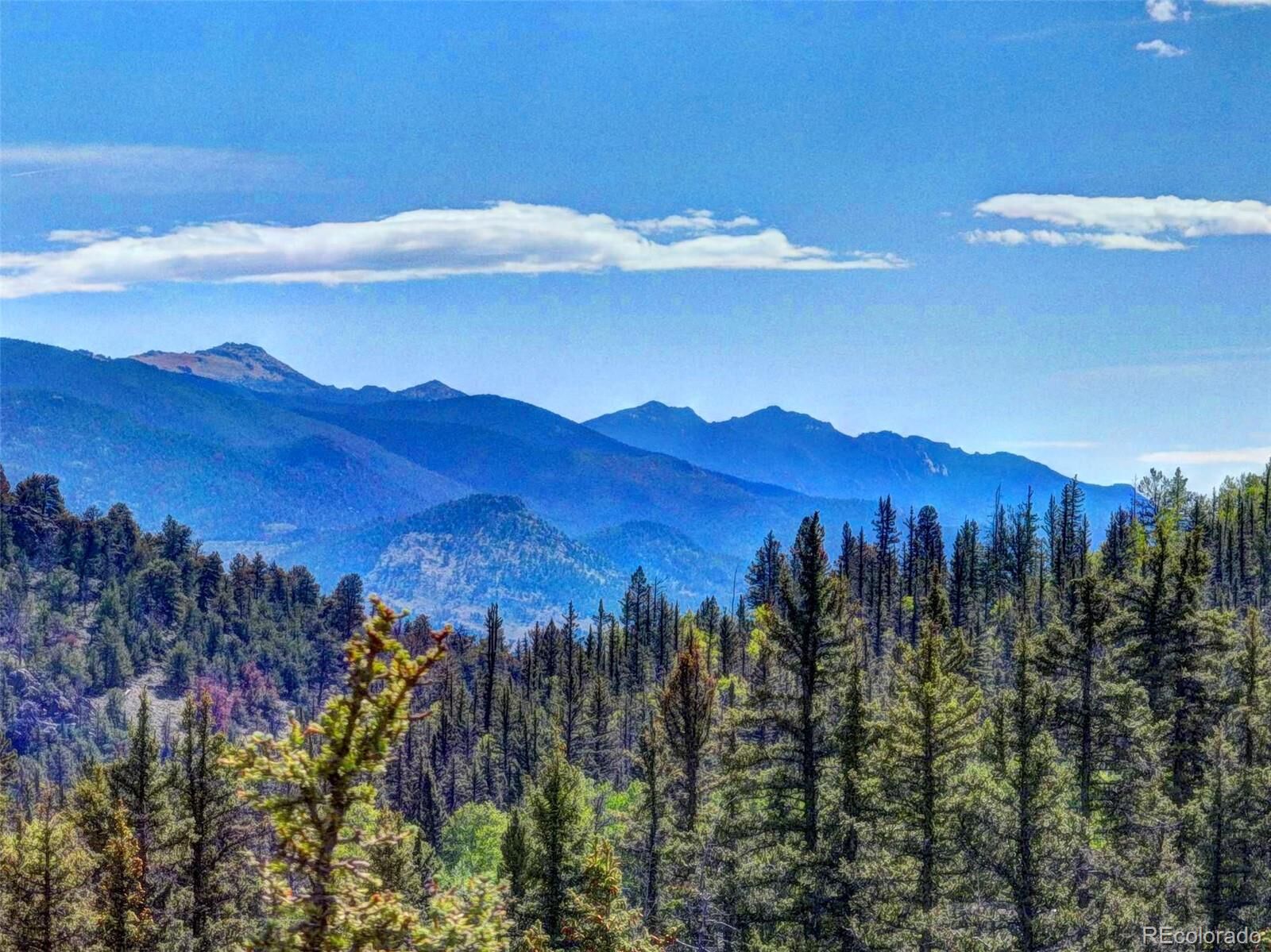 Property Photo: 75 Swiggler Road CO 80456