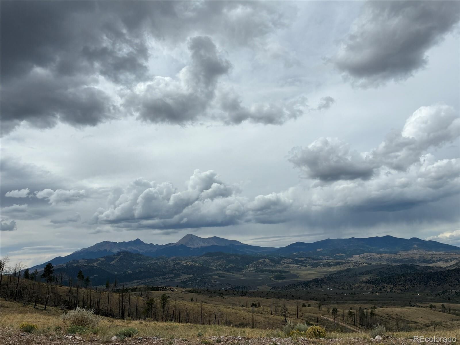 Property Photo: Lot 7726 De Montalambert Road CO 81133