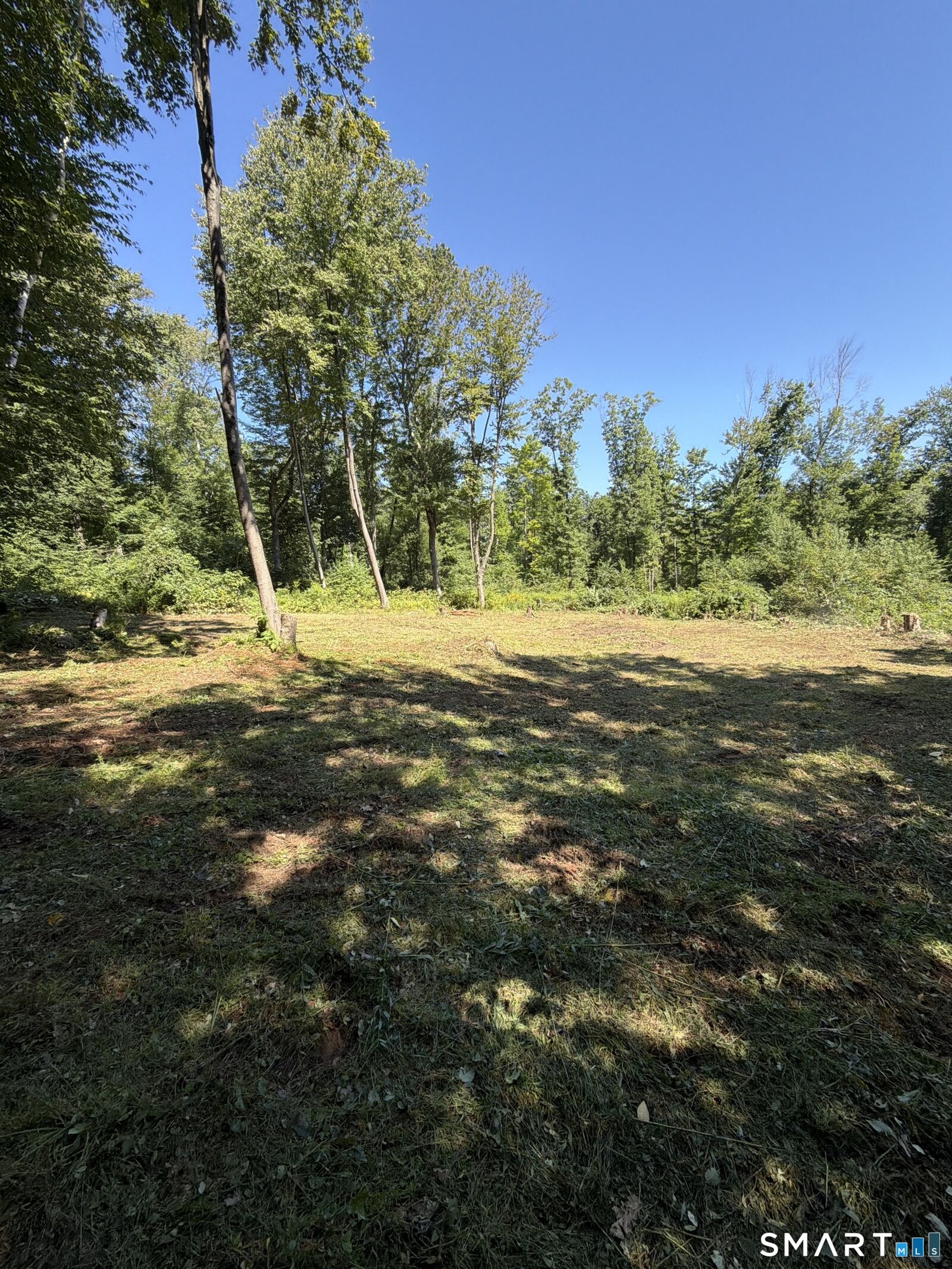 Property Photo: 43 Handel Road CT 06076