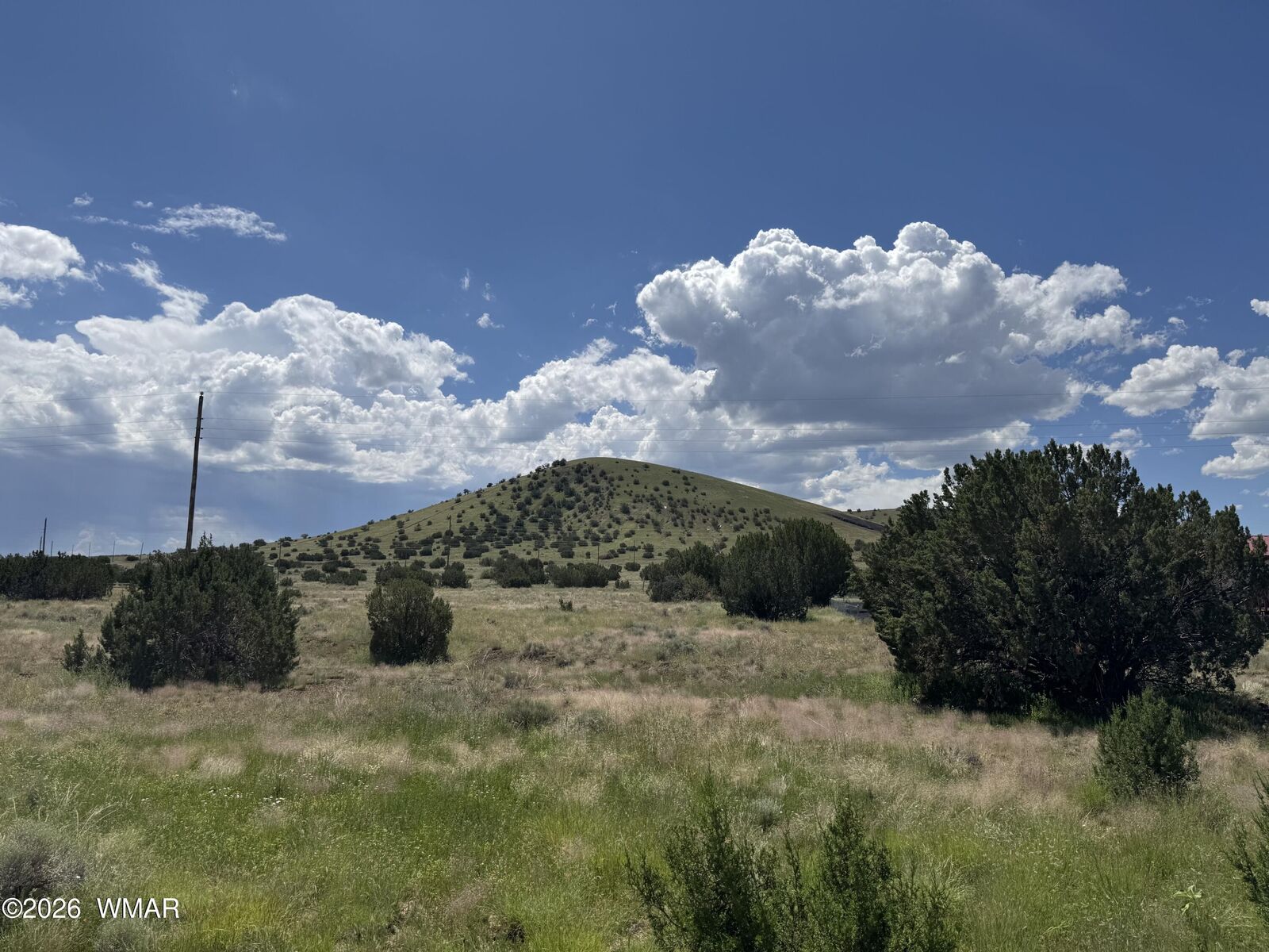 Property Photo:  20 County Road 5203 20  AZ 85924 