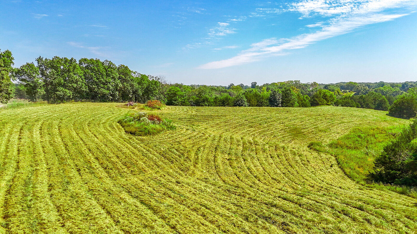 Property Photo:  N Barnett School Rd  MO 65284 