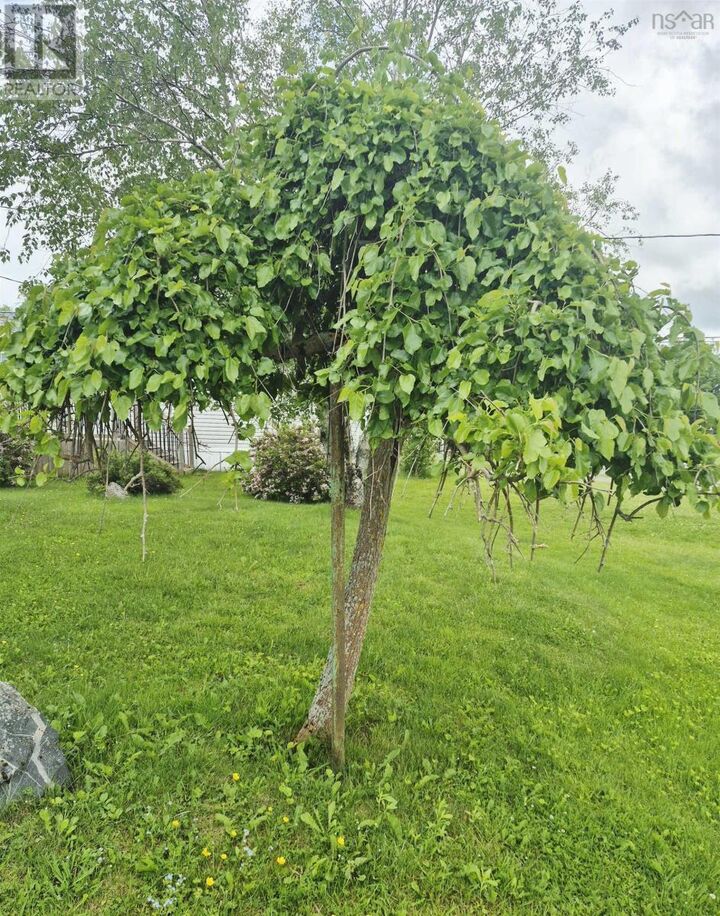 Property Photo:  68 Hillcrest Avenue  NS B2N 4L3 