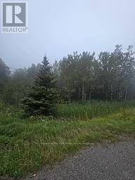 Property Photo:  5937 Highway 11/17  ON P0T 1W0 