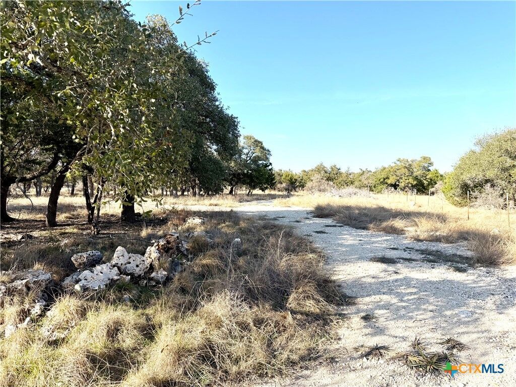 Property Photo:  Tbd County Road 233 Road  TX 78633 