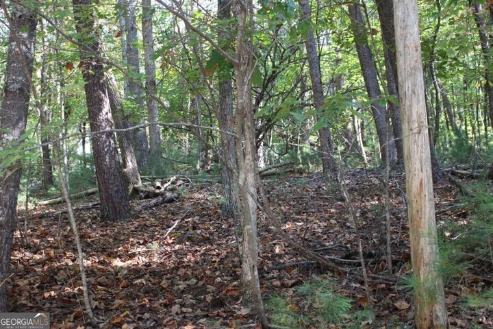 Property Photo: Lot 16R Leatherwood Mountain Road GA 30522