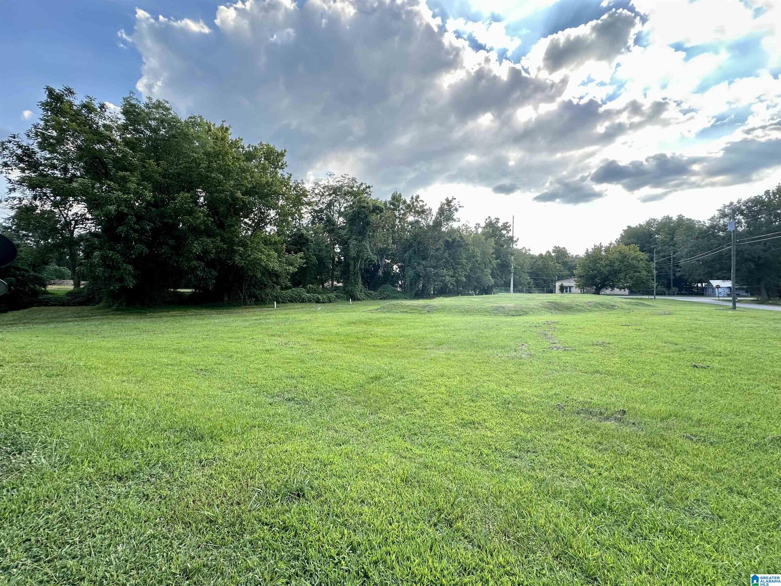 Property Photo: 620 College Street 0 AL 36265