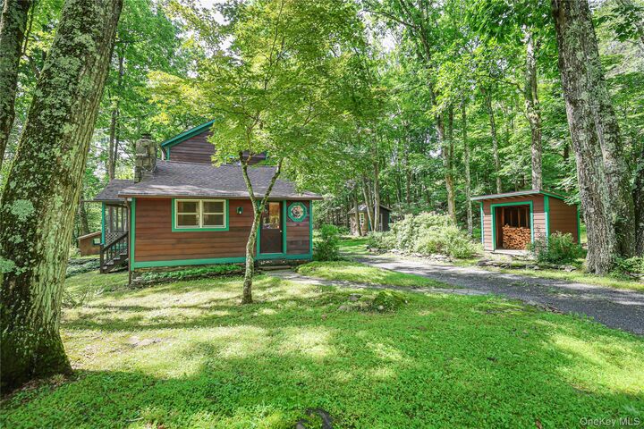 Property Photo:  345 Dug Road  NY 12404 