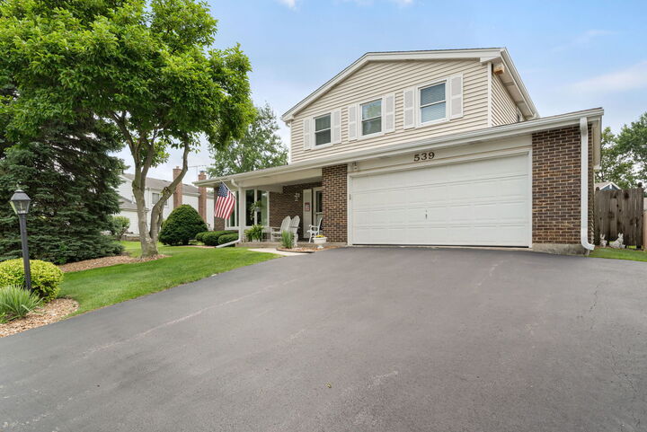 Property Photo: 539 Hamilton Avenue IL 60559