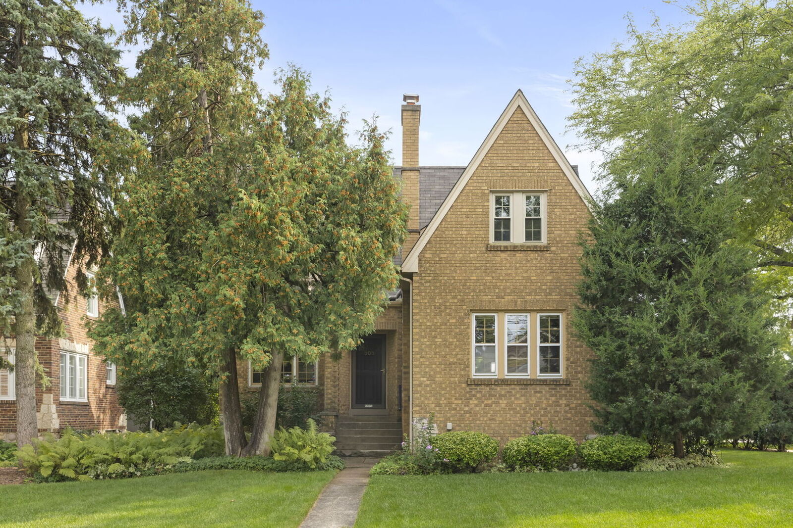 Property Photo:  303 Hillside Avenue  IL 60137 
