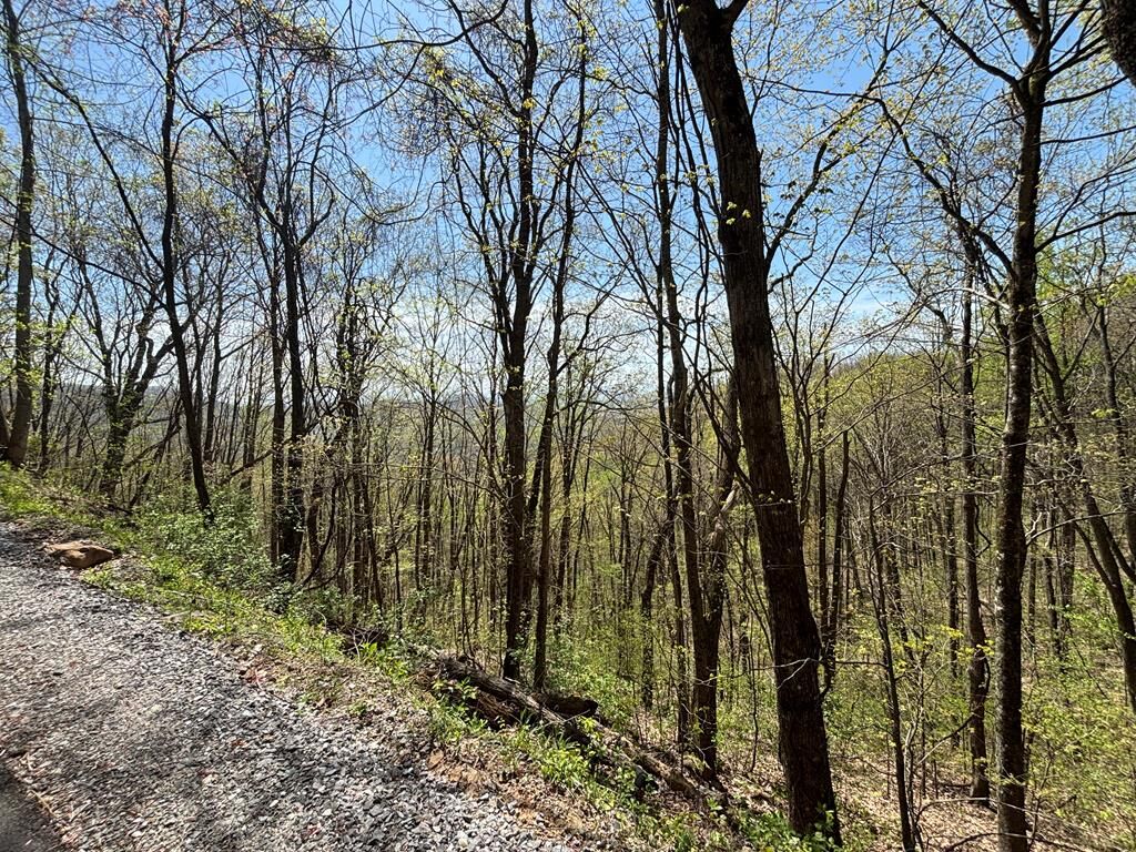 Property Photo:  Lot 4 Outlook Road  NC 28906 
