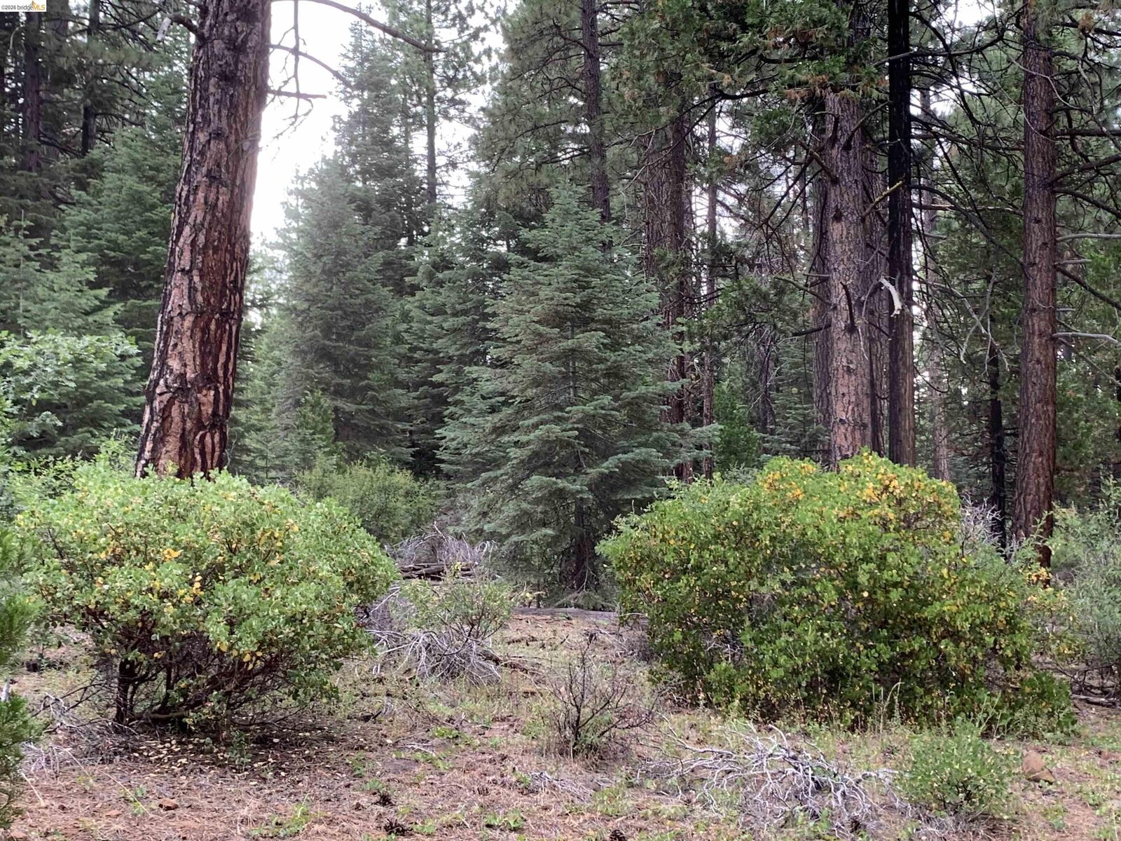 Property Photo:  00000 Old Toll Rd  CA 96068 