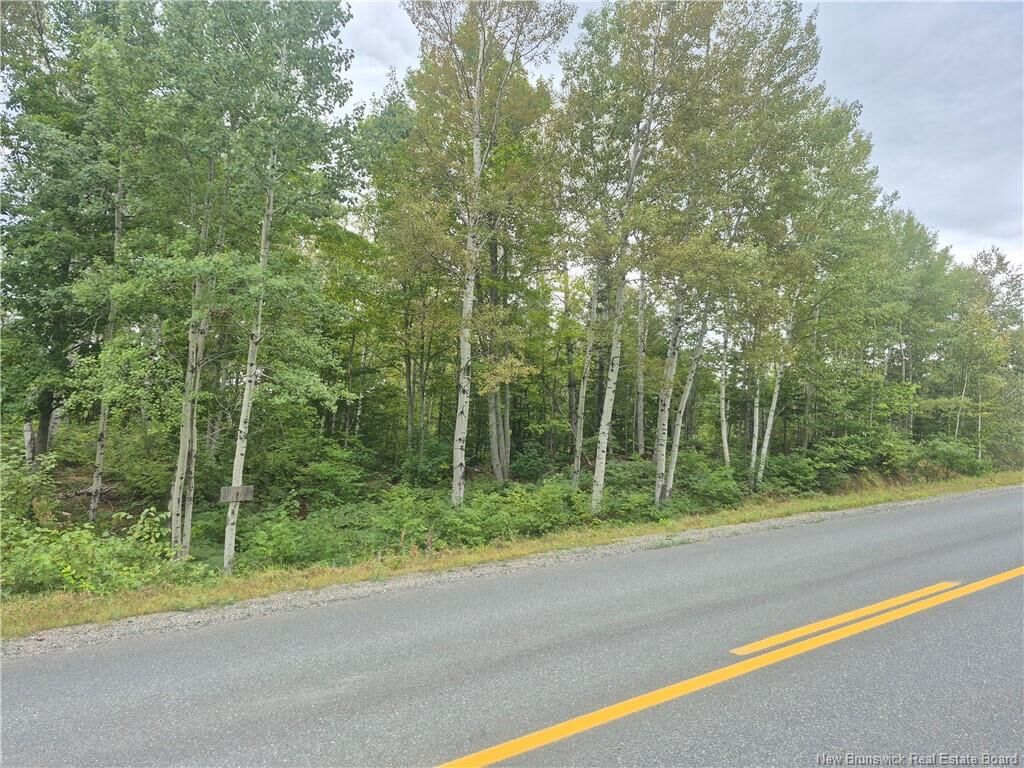 Property Photo:  2.6 Acres Nicholas Denys  NB E2A 3Y4 