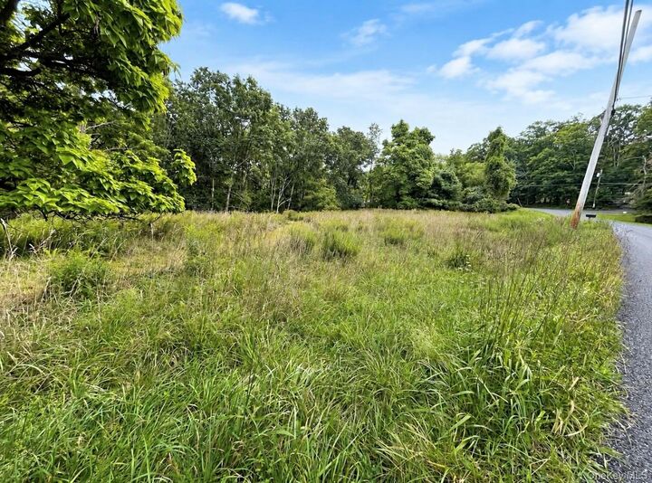 Property Photo:  Tbd Queens Highway  NY 12404 