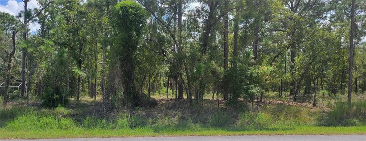 Property Photo: 0 NW Hillsdale Avenue FL 34431
