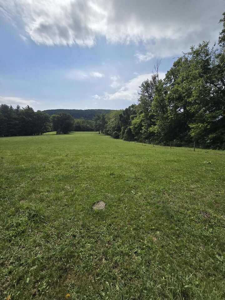 Property Photo: 0 Wildwood Rd PA 18840