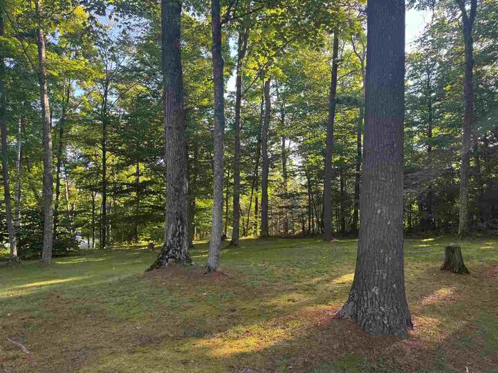 Property Photo:  Vl .65 Ac Ridge  MI 49701 