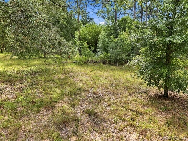 Property Photo:  89 S Haid Terrace  FL 34461 