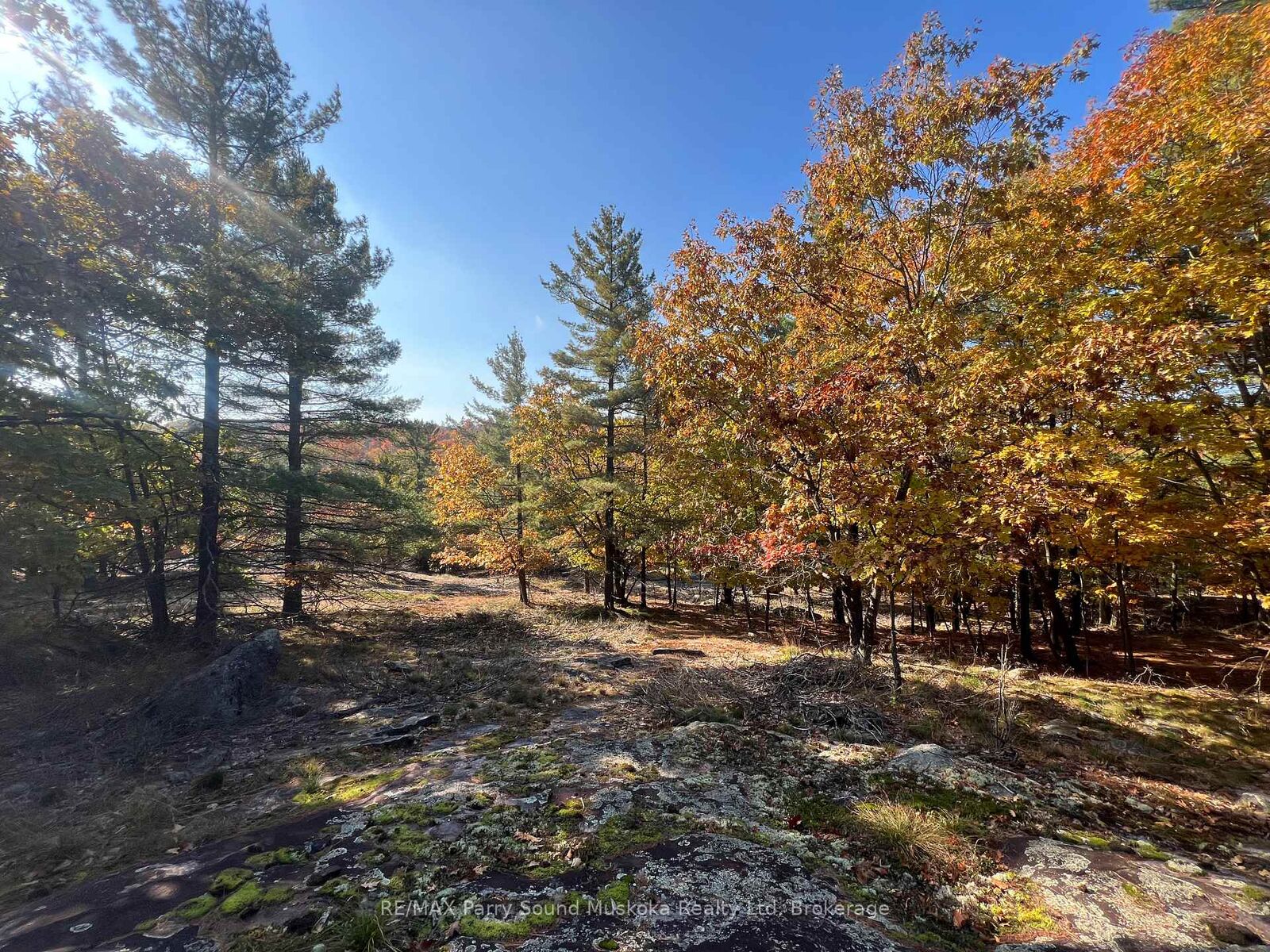 Property Photo:  13 Ridgeway Drive  ON P0G 1G0 