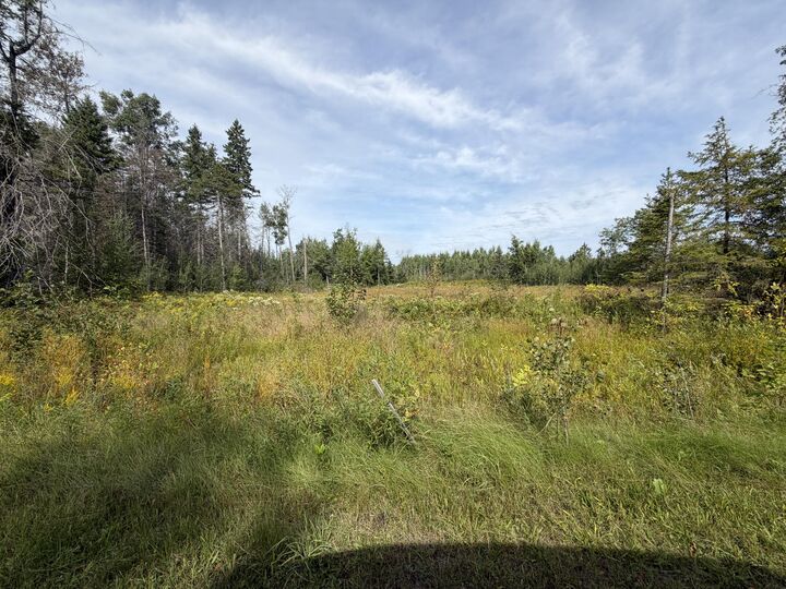 Property Photo: 368 Beaver Shores Drive MI 49753