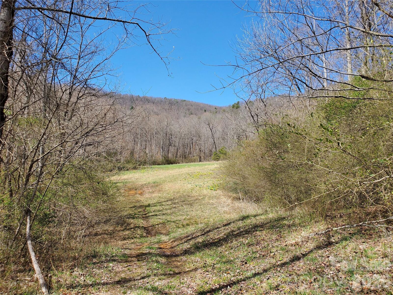 Property Photo:  8057 Highway 16 Highway  NC 28654 