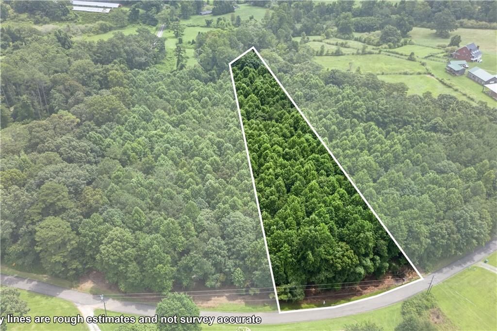Property Photo:  0 Henry Turner Trail  GA 30107 