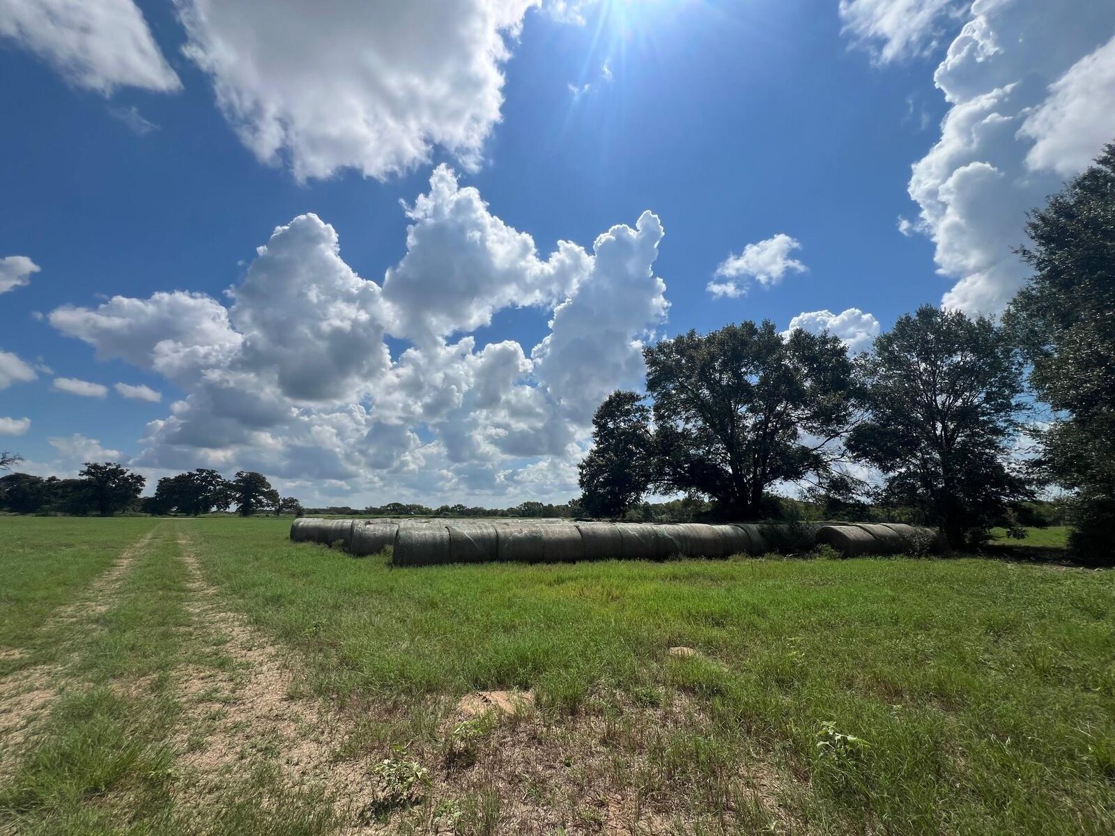 Property Photo: 0 Fm 1371 TX 77426