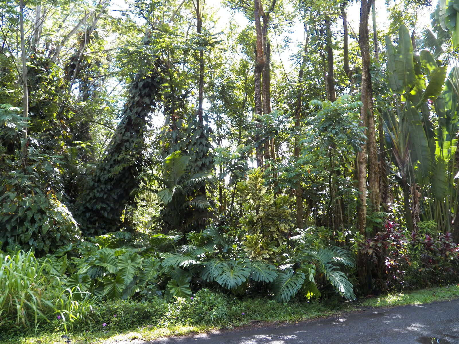 Property Photo:  25th Ave  HI 96749 