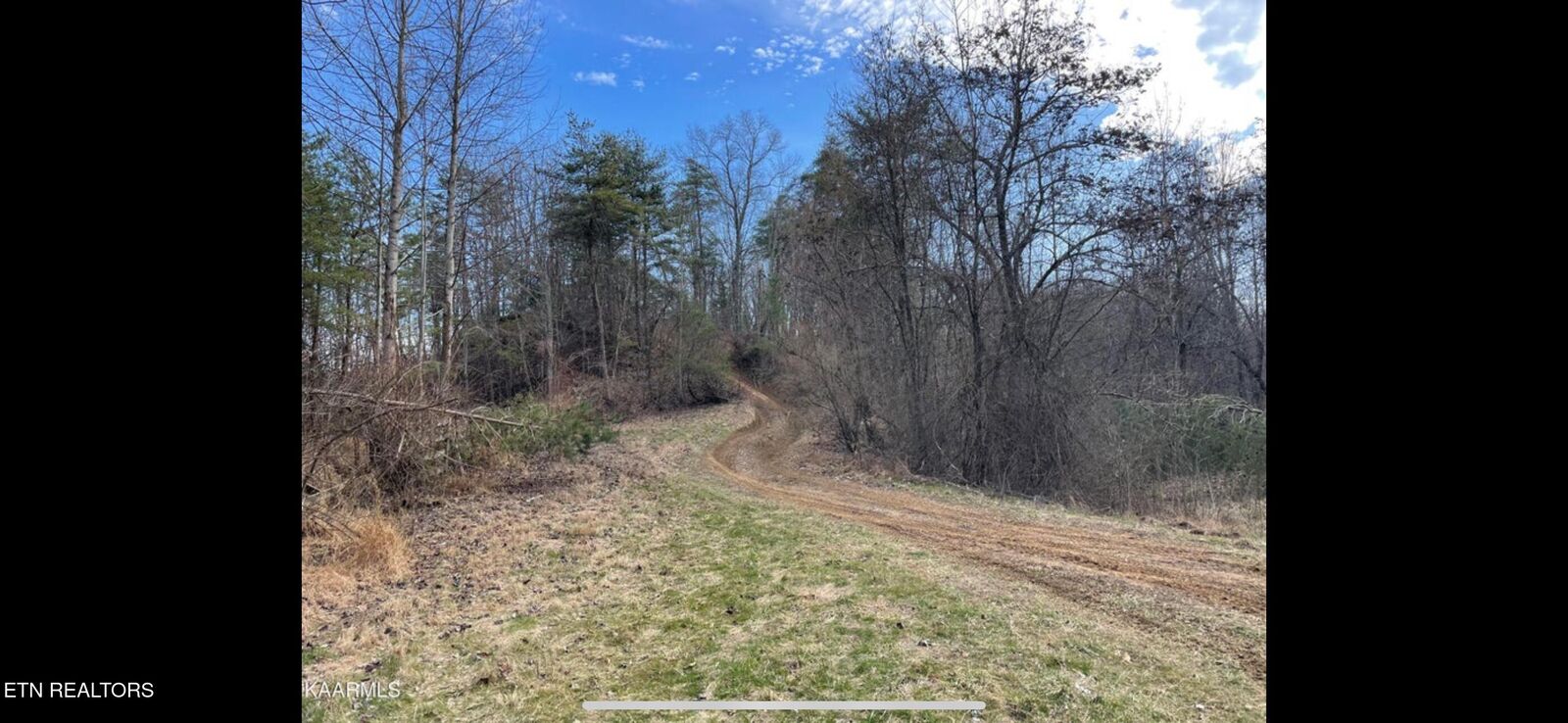 Property Photo:  150 Timber Oaks Lane  TN 37847 