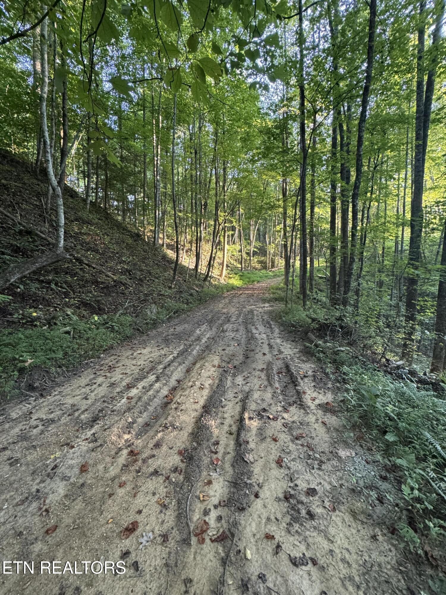 Property Photo:  150 Timber Oaks Lane  TN 37847 