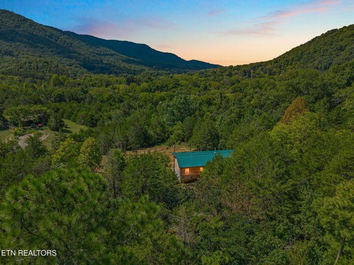 Property Photo:  239 County Road 468  TN 37329 