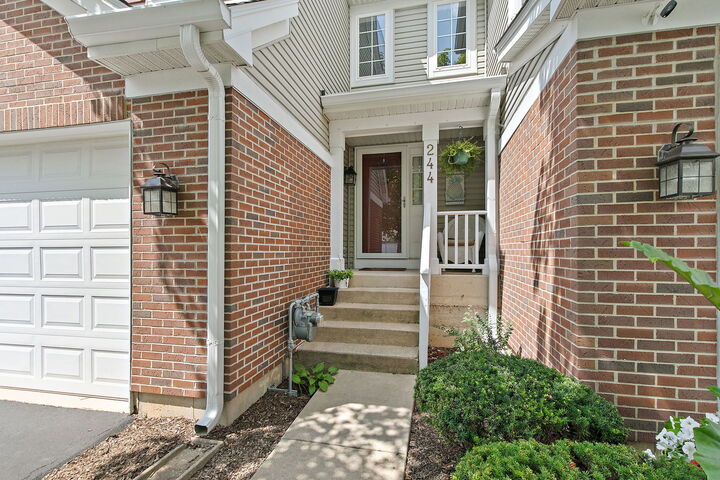 Property Photo:  244 Lineas Lane 244  IL 60134 
